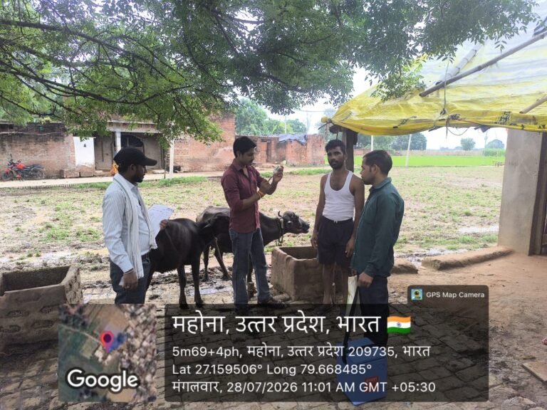 कन्नौज खुरपका मुंहपका (एफएमडी) टीकाकरण अभियान तेज़ी से जारी, एक दिन में 4,718 पशुओं का हुआ टीकाकरण