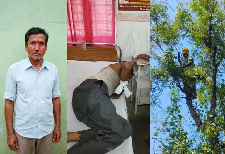 फर्रुखाबाद कमालगंज में पेड़ की डाल काटते समय हादसा, डाल गिरने से युवक घायल